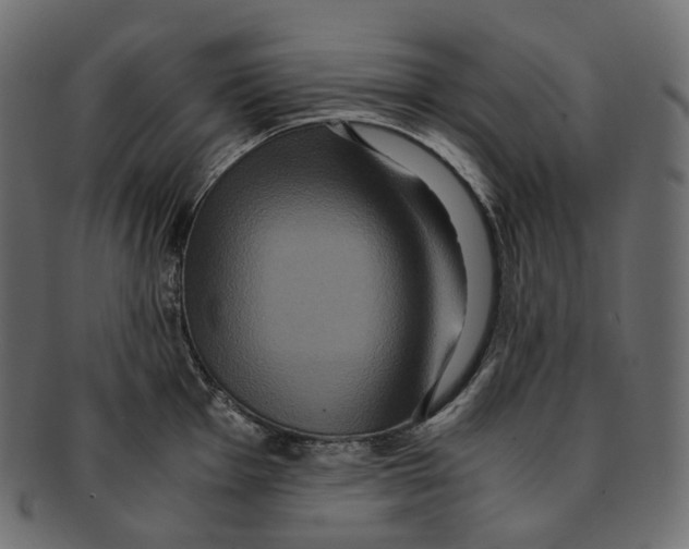 X0000091941001200710031114