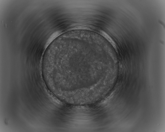 X0000091941002200710031114