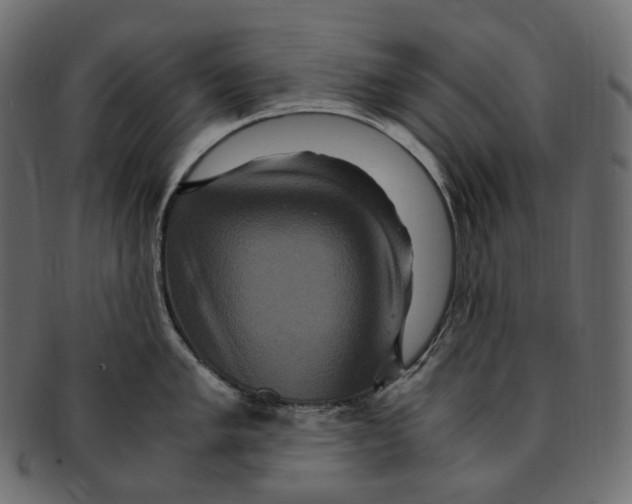 X0000091941005200710031114