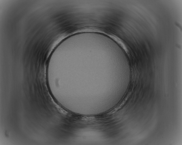 X0000091941006200710031114