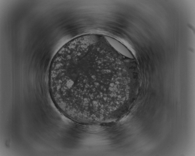 X0000091941007200710031114