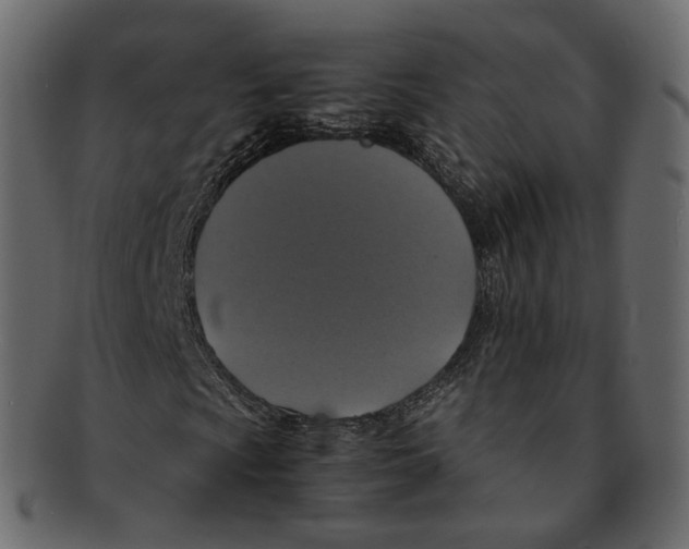 X0000091941009200710031113