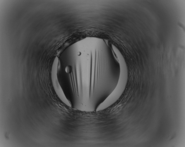 X0000091941010200710031113