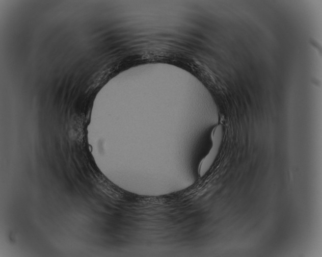 X0000091941012200710031113