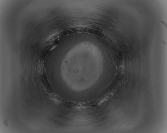 X0000091941014200710031114