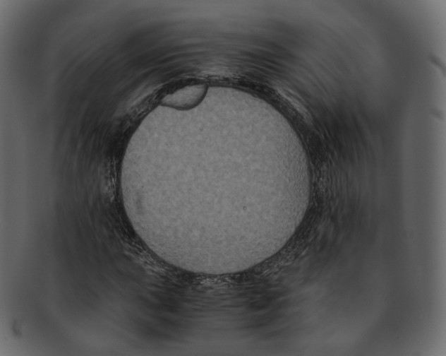 X0000091941015200710031114