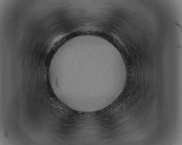 X0000091941016200710031114