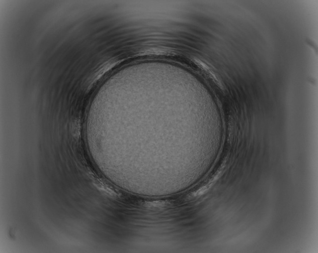 X0000091941017200710031114