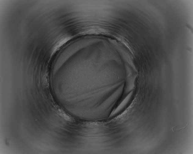 X0000091941018200710031114