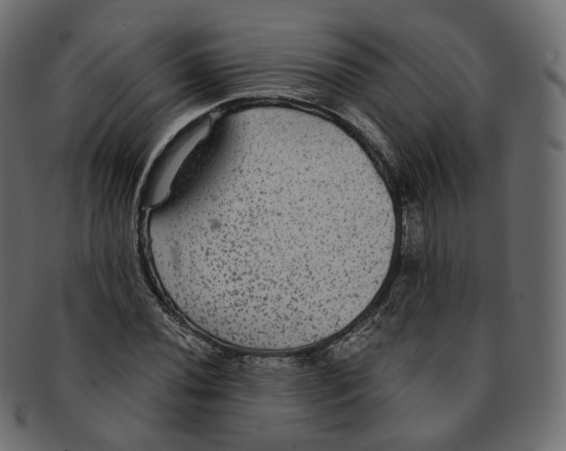 X0000091941020200710031114