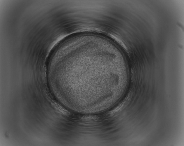 X0000091941021200710031114