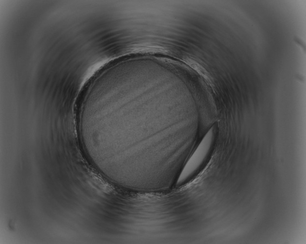 X0000091941022200710031114