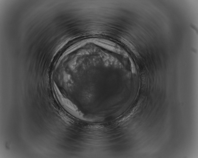 X0000091941023200710031114