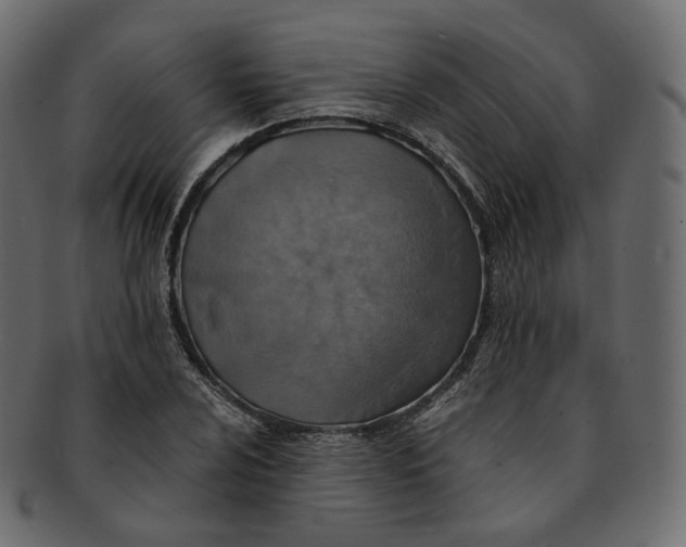 X0000091941024200710031114