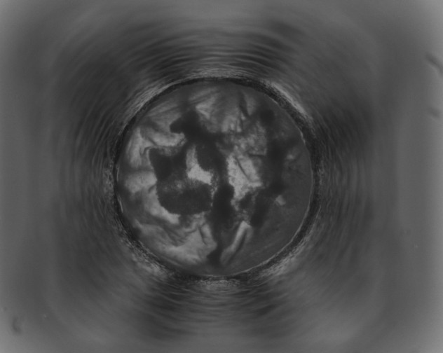 X0000091941025200710031114