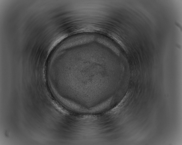 X0000091941026200710031114