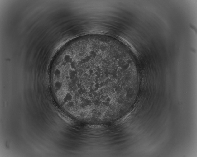 X0000091941027200710031114