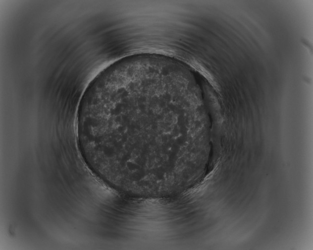 X0000091941028200710031114