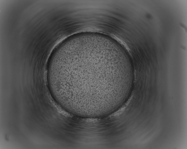 X0000091941029200710031114