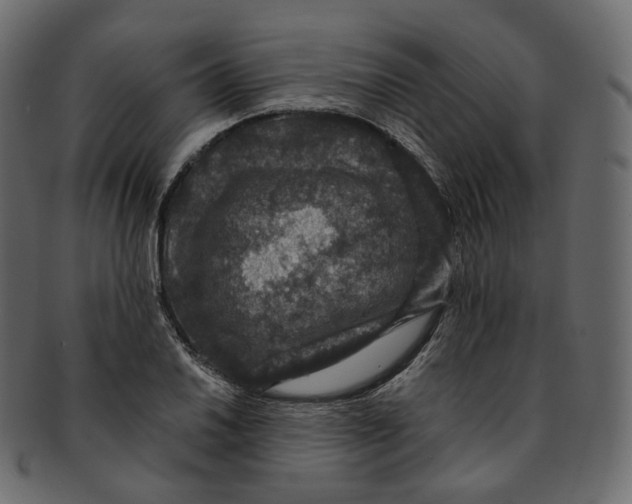 X0000091941030200710031114