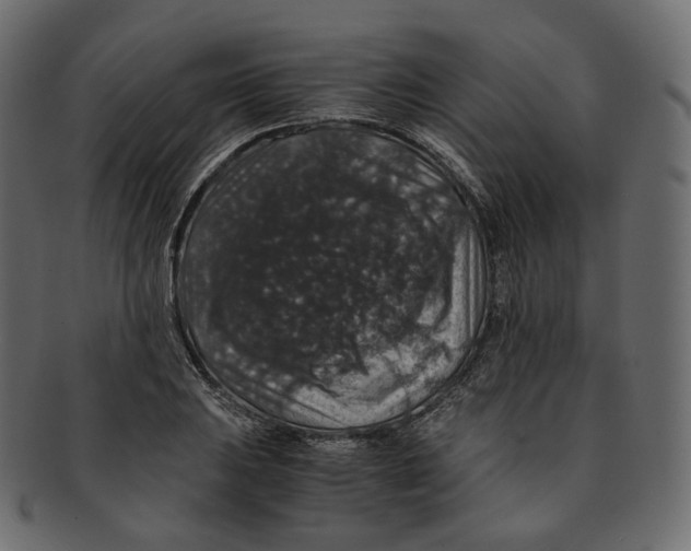 X0000091941031200710031114