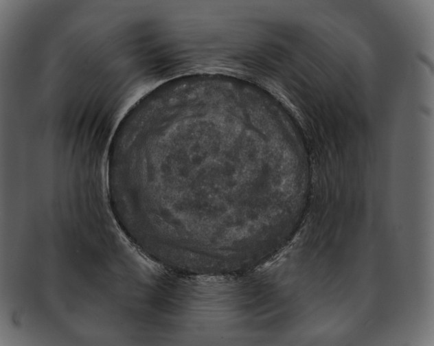 X0000091941032200710031114