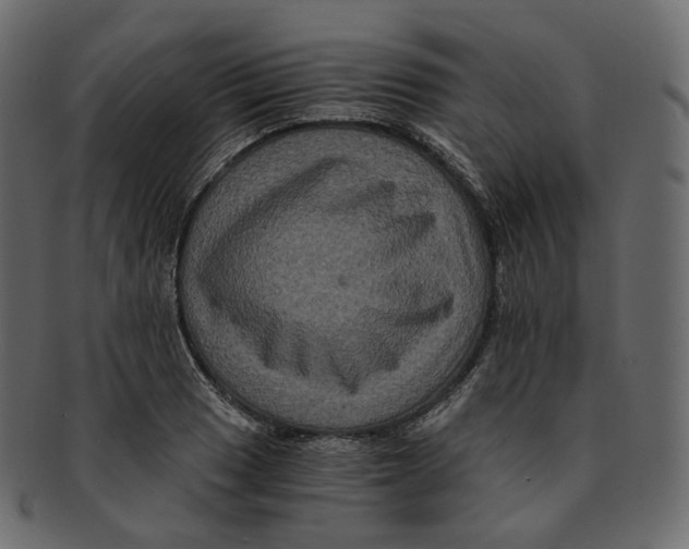 X0000091941033200710031114