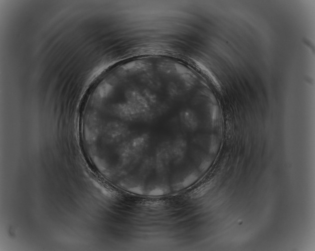 X0000091941035200710031114