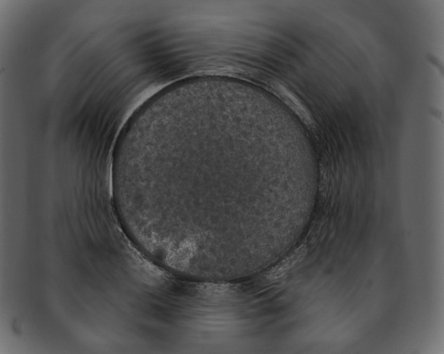 X0000091941036200710031114