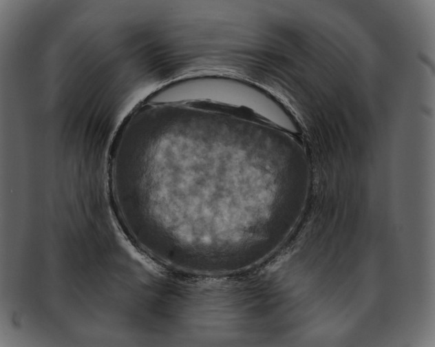 X0000091941038200710031114