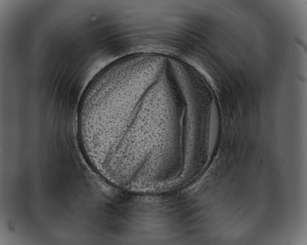 X0000091941040200710031114