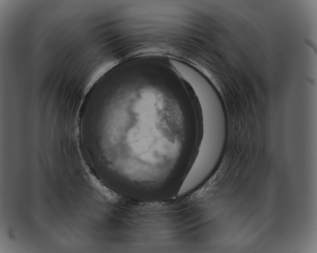 X0000091941042200710031114