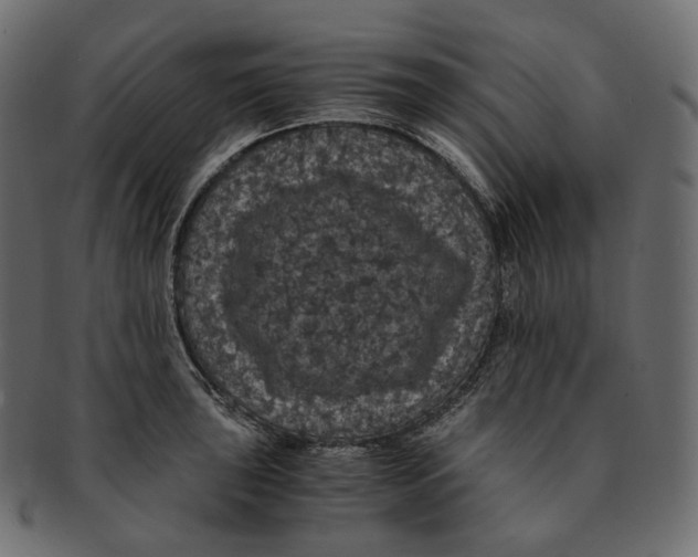 X0000091941043200710031114