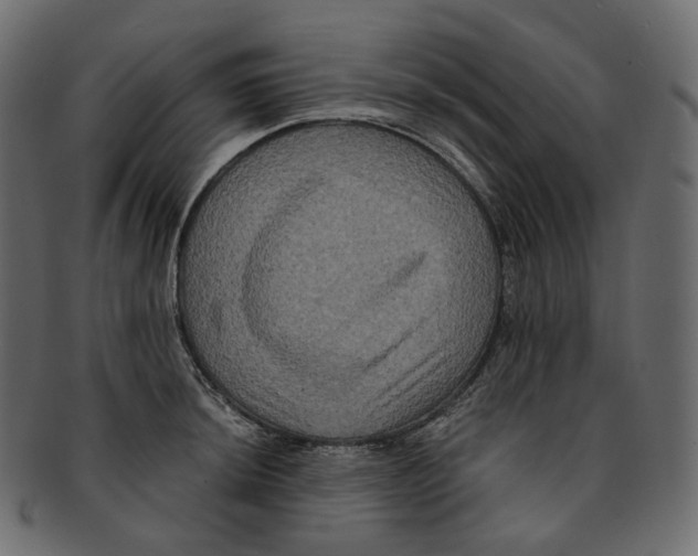 X0000091941044200710031114