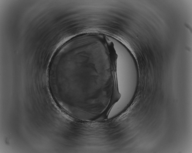 X0000091941045200710031114