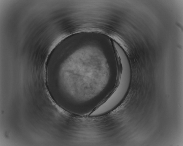 X0000091941046200710031114