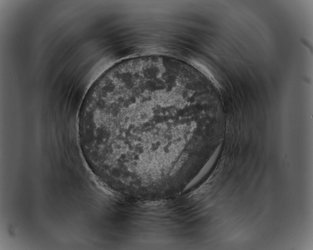 X0000091941047200710031114