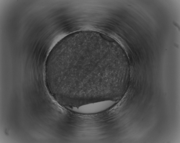 X0000091941048200710031114