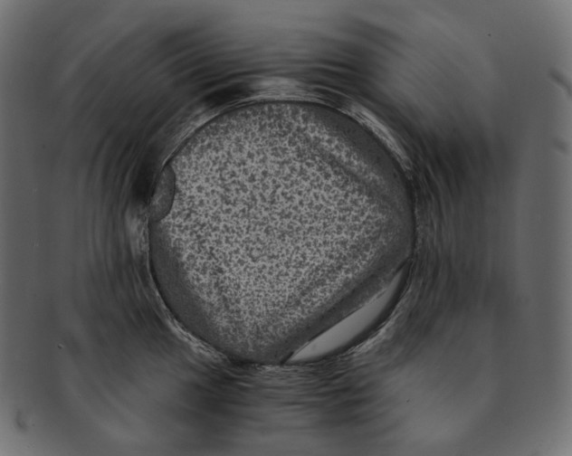 X0000091941049200710031114