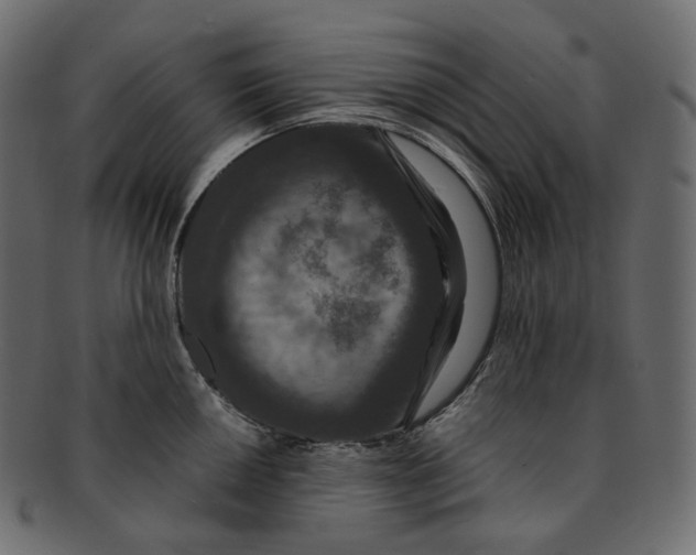 X0000091941050200710031114