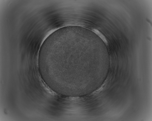 X0000091941052200710031114