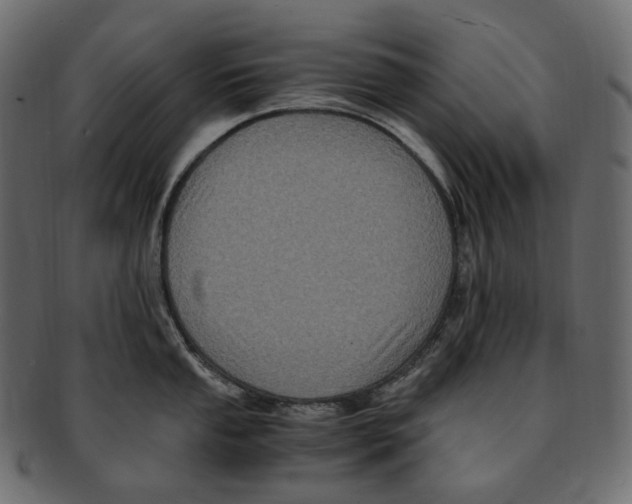 X0000091941053200710031114