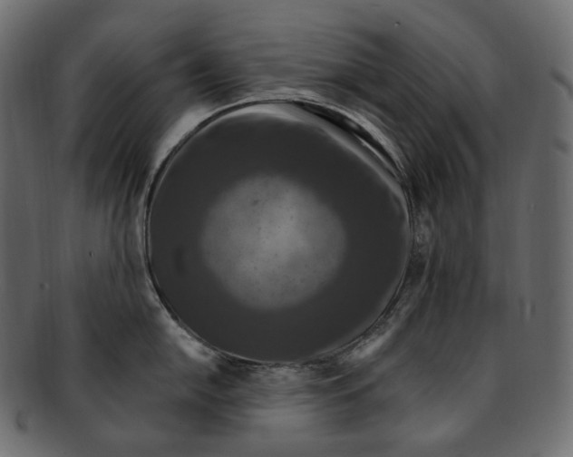 X0000091941054200710031114