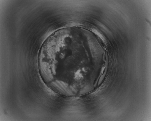 X0000091941055200710031114