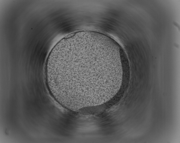 X0000091941056200710031114