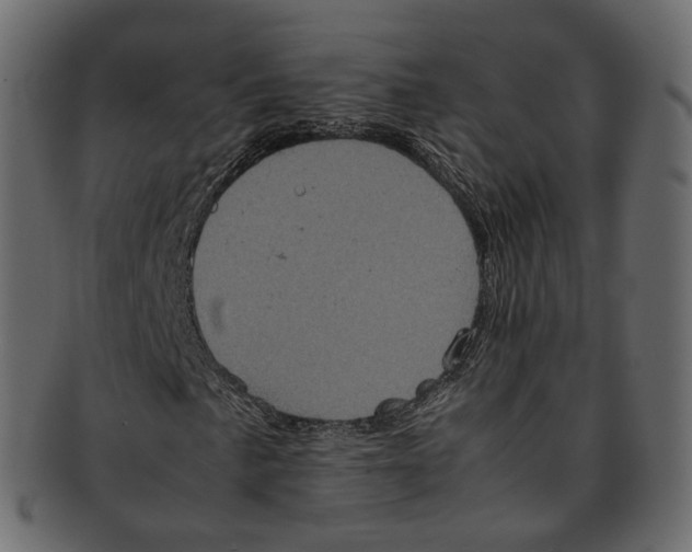 X0000091941057200710031113