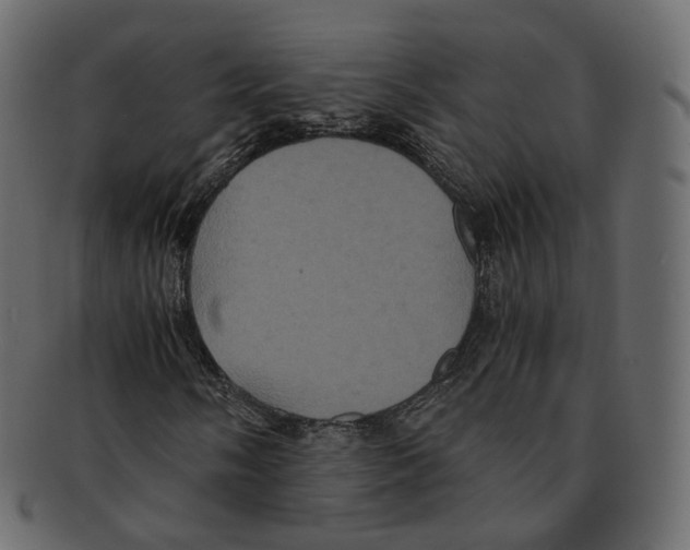 X0000091941058200710031113