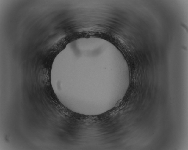 X0000091941062200710031113