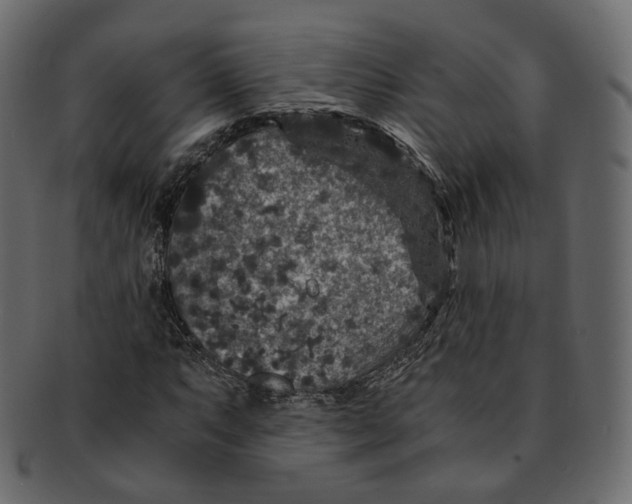 X0000091941063200710031113