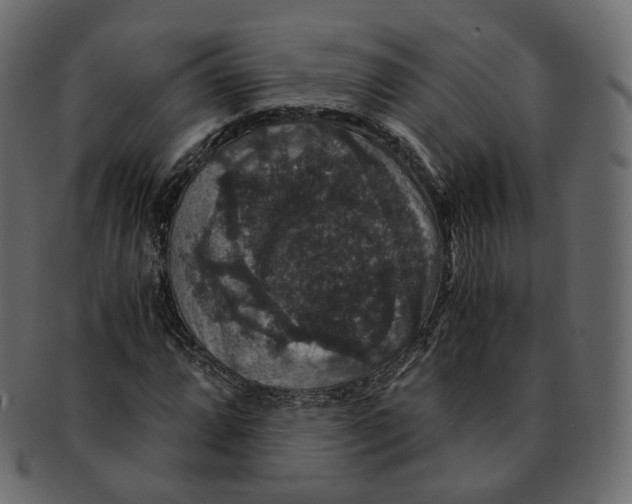 X0000091941064200710031113